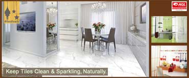 Natural Ways to keep the Tiles clean and sparkling this Festive Season. 
