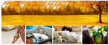 Colour Activate Your House and energise your Beautiful Life.