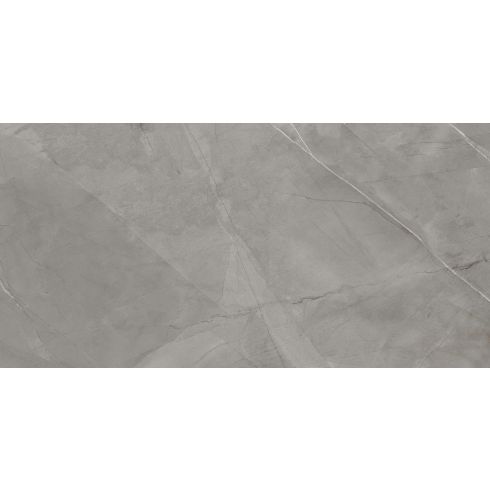 ARMOSTONE FOSSIL