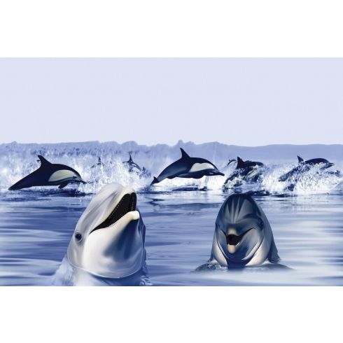 KPG DOLPHIN DECOR A