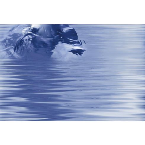 KPG DOLPHIN DECOR B