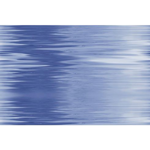 KPG DOLPHIN DECOR C