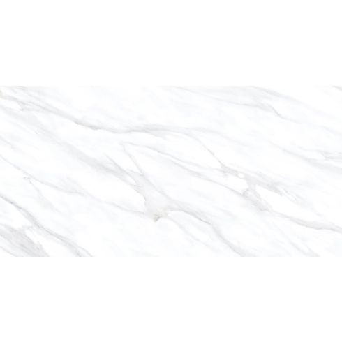 FLISAT SILVER