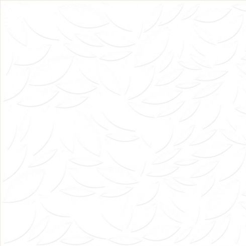 KPG 1146 FL