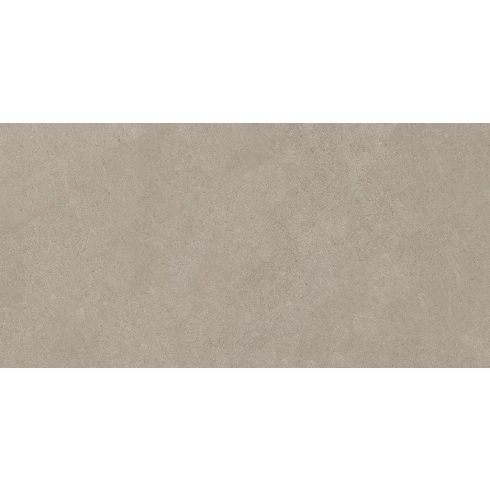 SANSTO OLIVE