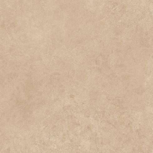 SEMINT CAMEL