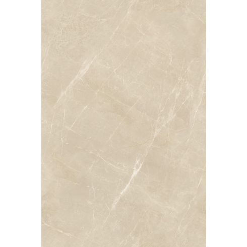 Strock Camel (Infinity)