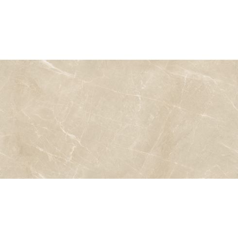 Strock Camel (Infinity)